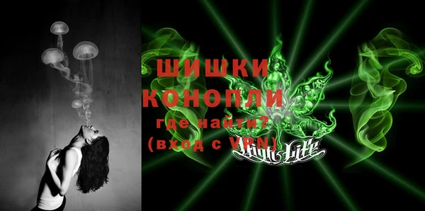 МДПВ Богородицк