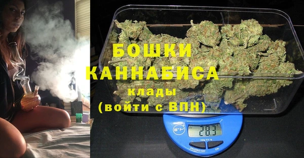 ПСИЛОЦИБИНОВЫЕ ГРИБЫ Богданович