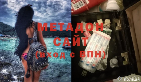 ПСИЛОЦИБИНОВЫЕ ГРИБЫ Богданович