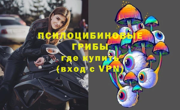 ПСИЛОЦИБИНОВЫЕ ГРИБЫ Богданович