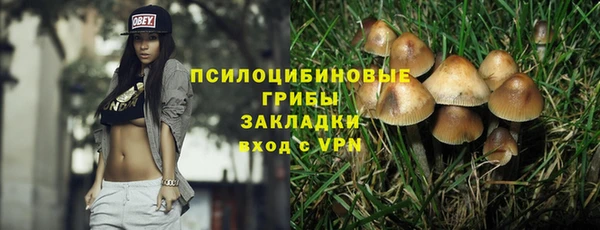 МДПВ Богородицк