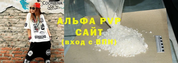 ПСИЛОЦИБИНОВЫЕ ГРИБЫ Богданович