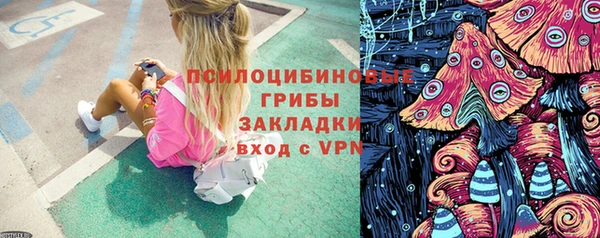 МДПВ Богородицк