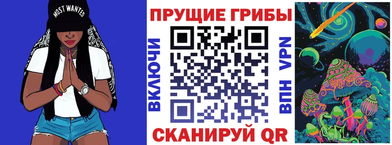 Купить где  Биробиджан  Псилоцибиновые грибы MAGIC MUSHROOMS 